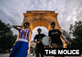 THE MOLICE