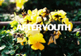 AFTER YOUTH