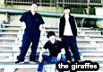 the giraffes